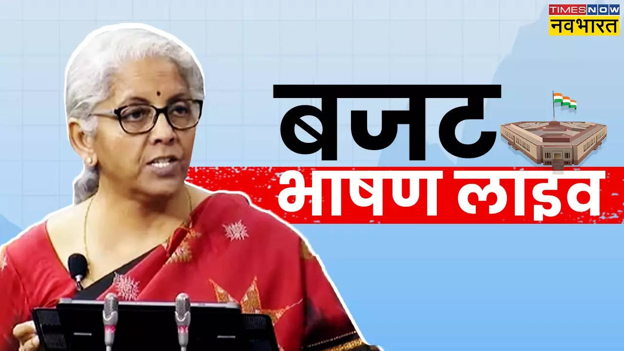 Budget 2024, Nirmala Sitharaman Conference Live: इनकम टैक्स पर राहत नहीं, मगर पुराने मामले होंगे वापस, किसानों को नई योजना का तोहफा - अंतरिम बजट की हर अपडेट लाइव