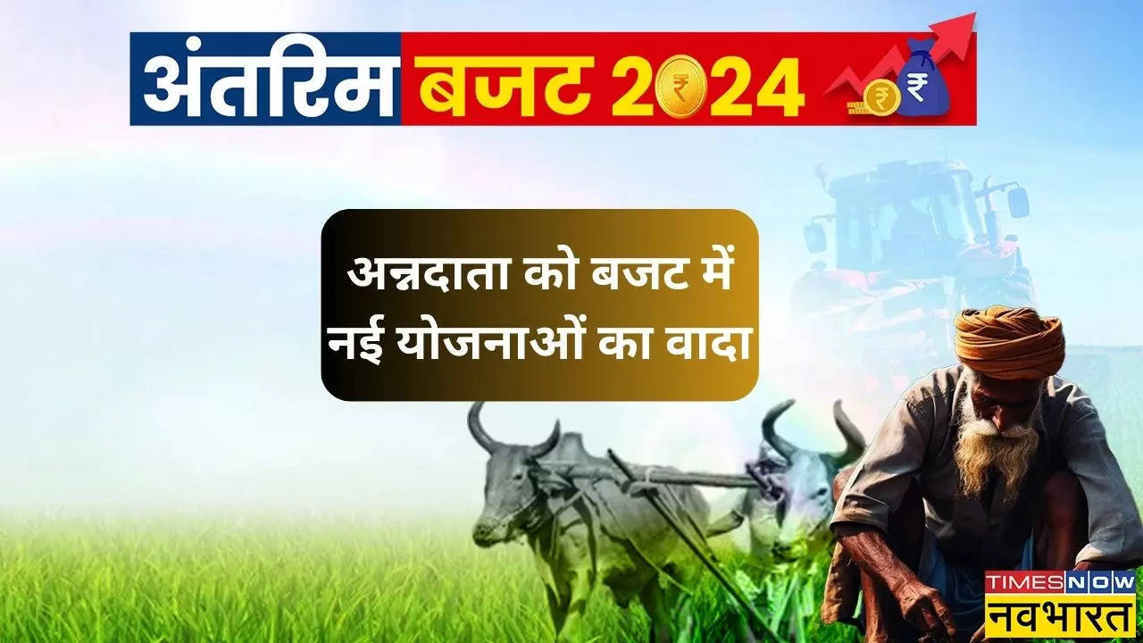 Budget 2024 Kisan Announcement, Budget for Farmers, PM Kisan, Modi Guarantee