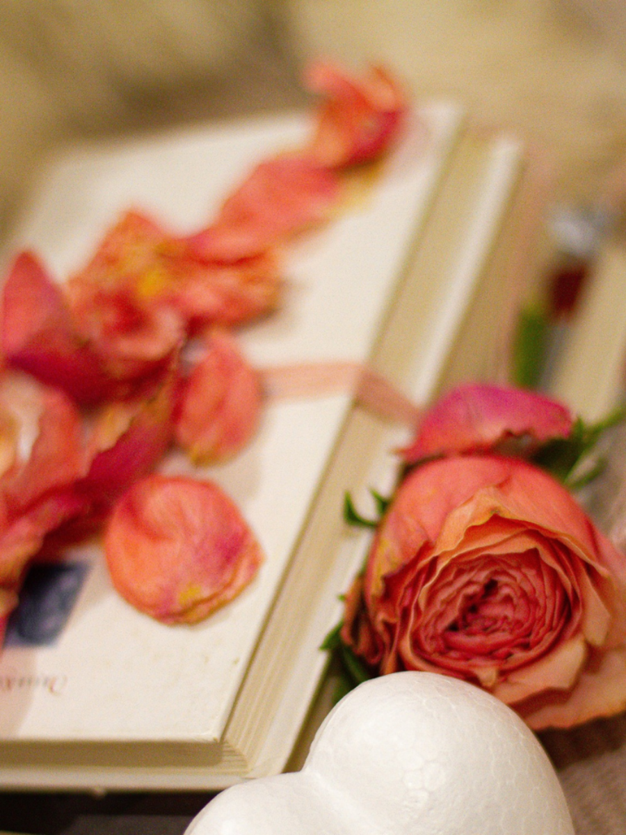 Valentine Week Gift Ideas Under 500 Rupees Valentine Week 