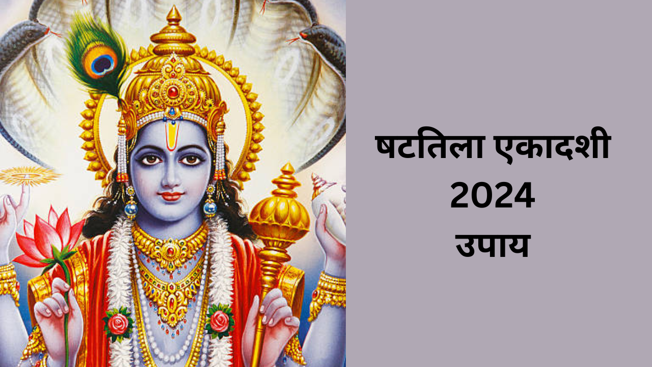 Shattila Ekadashi 2024 Upay