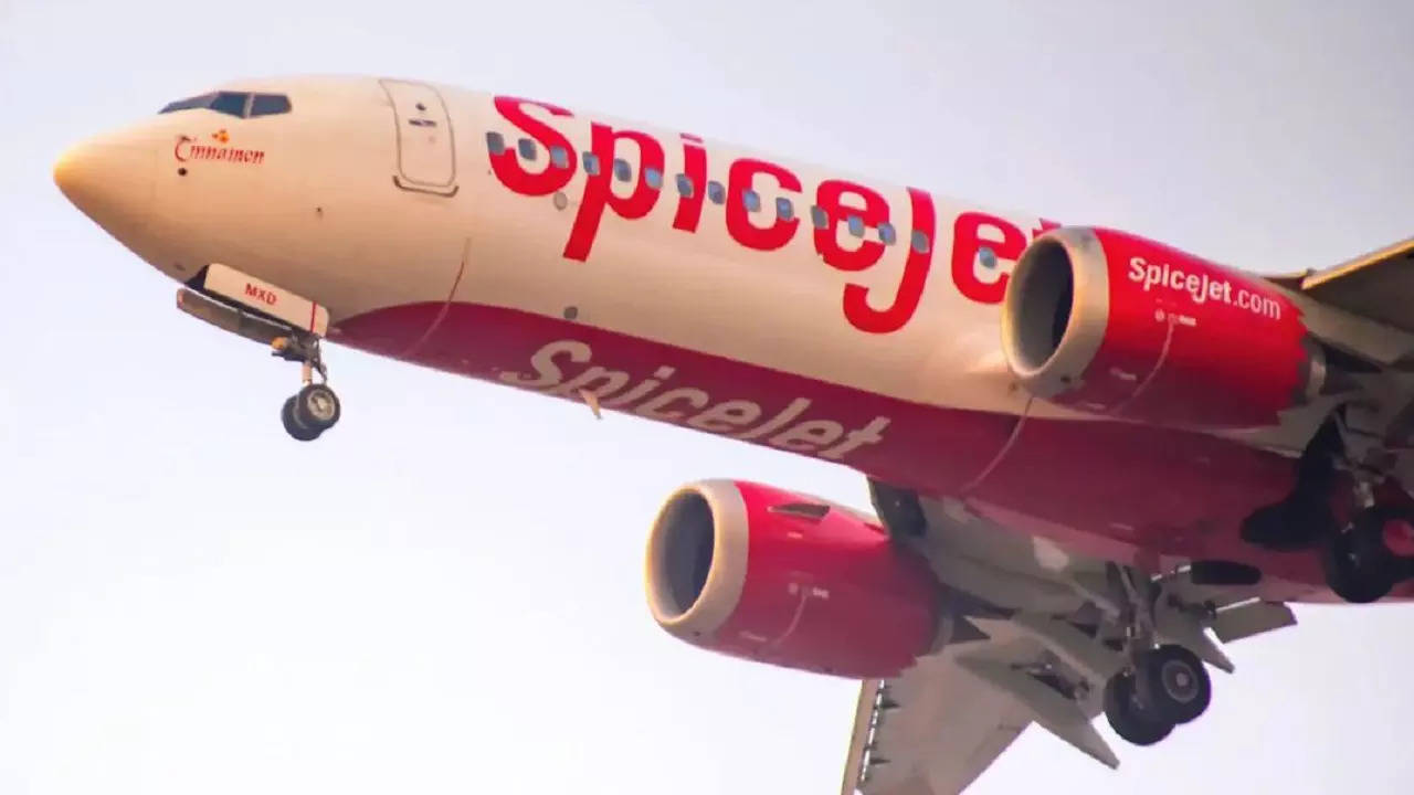 spicejet molestation