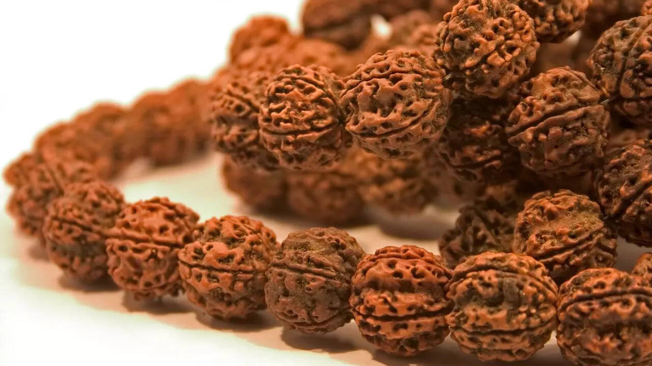 Rudraksh Ki Mala इस तरह शिवजी का करीबी है रुद्राक्ष, जानें इसकी माला पहनने से क्या होता है लाभ