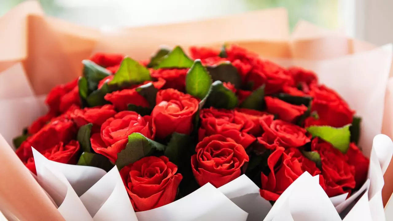 Rose Day 2024 Importance Significance Valentine Day 2024 Importance   107446684 