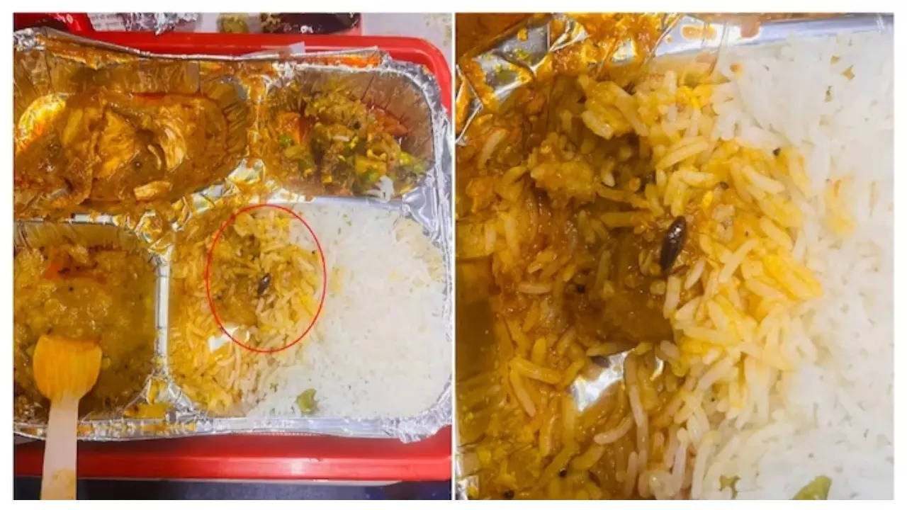 dead cockroach in vande bharat meal