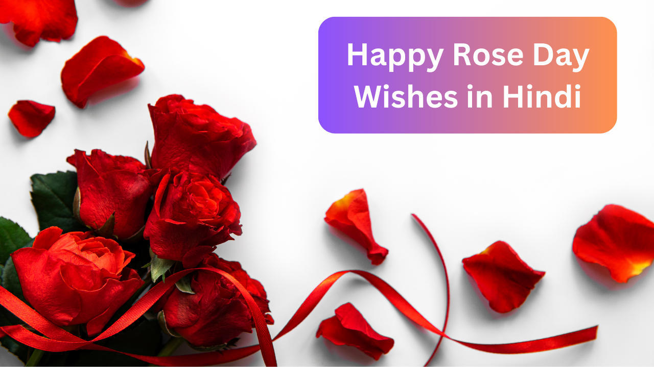 Happy Rose Day 2024 Hindi Wishes Status, Images, Quotes, WhatsApp