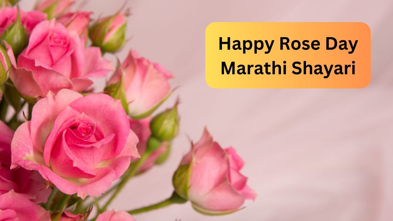 Happy rose day Marathi rose day love shayari marathi, valentines week