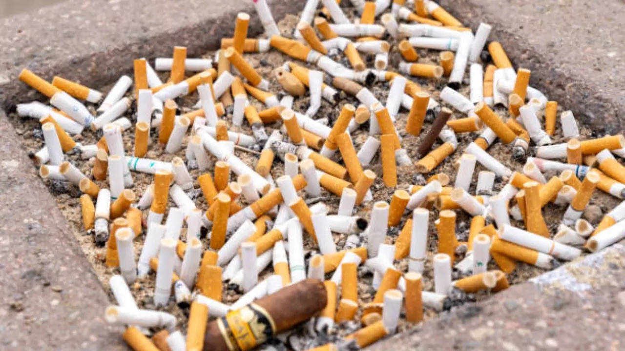 Cigarette Butts