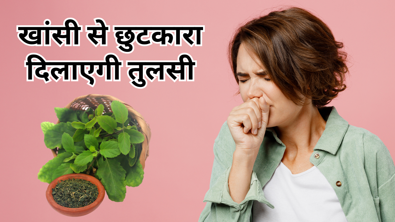 Tulsi-leaves-benefits-for-cough-in-hindi-m