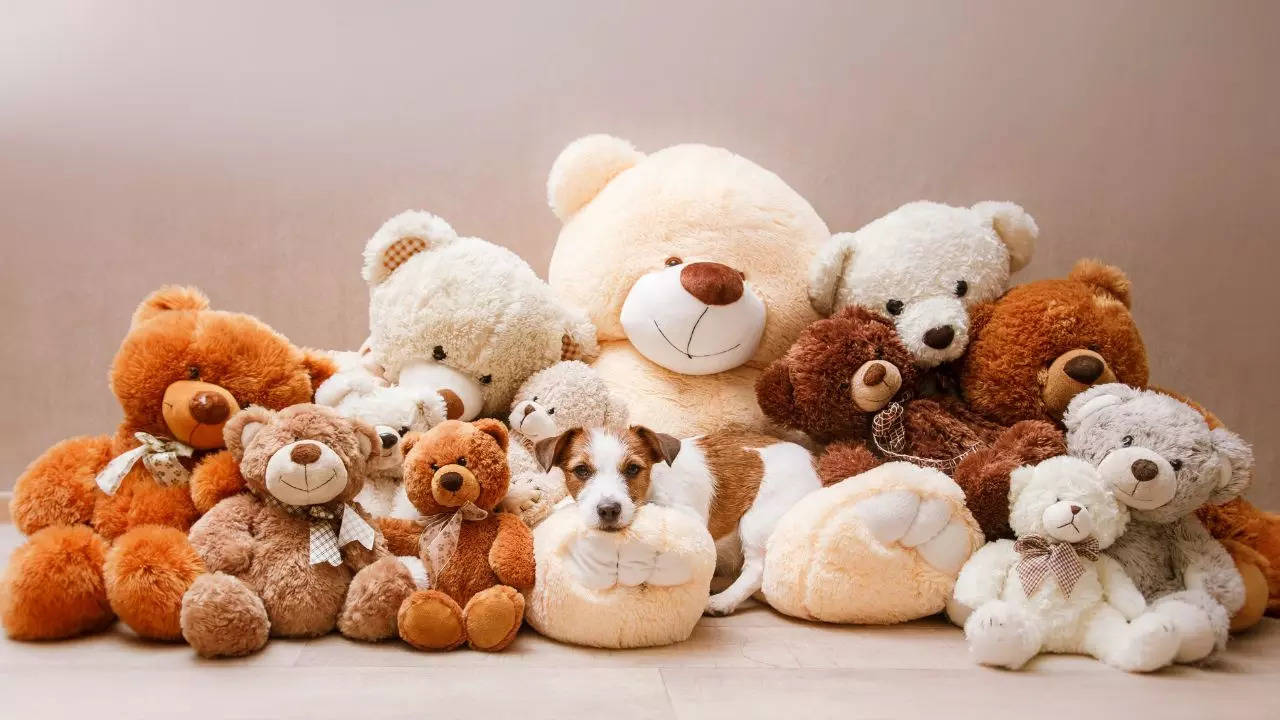 Teddy Day 2024 Images, Wallpaper, HD Images