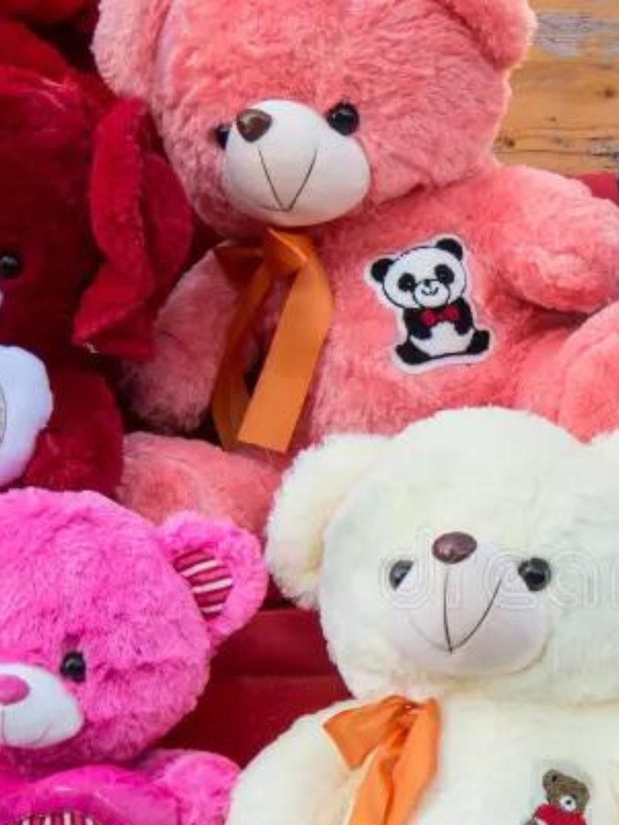 teddy bear day 2024: टेडी बियरच्या रंगाद्वारे व्यक्त करा आपल्या भावना ...