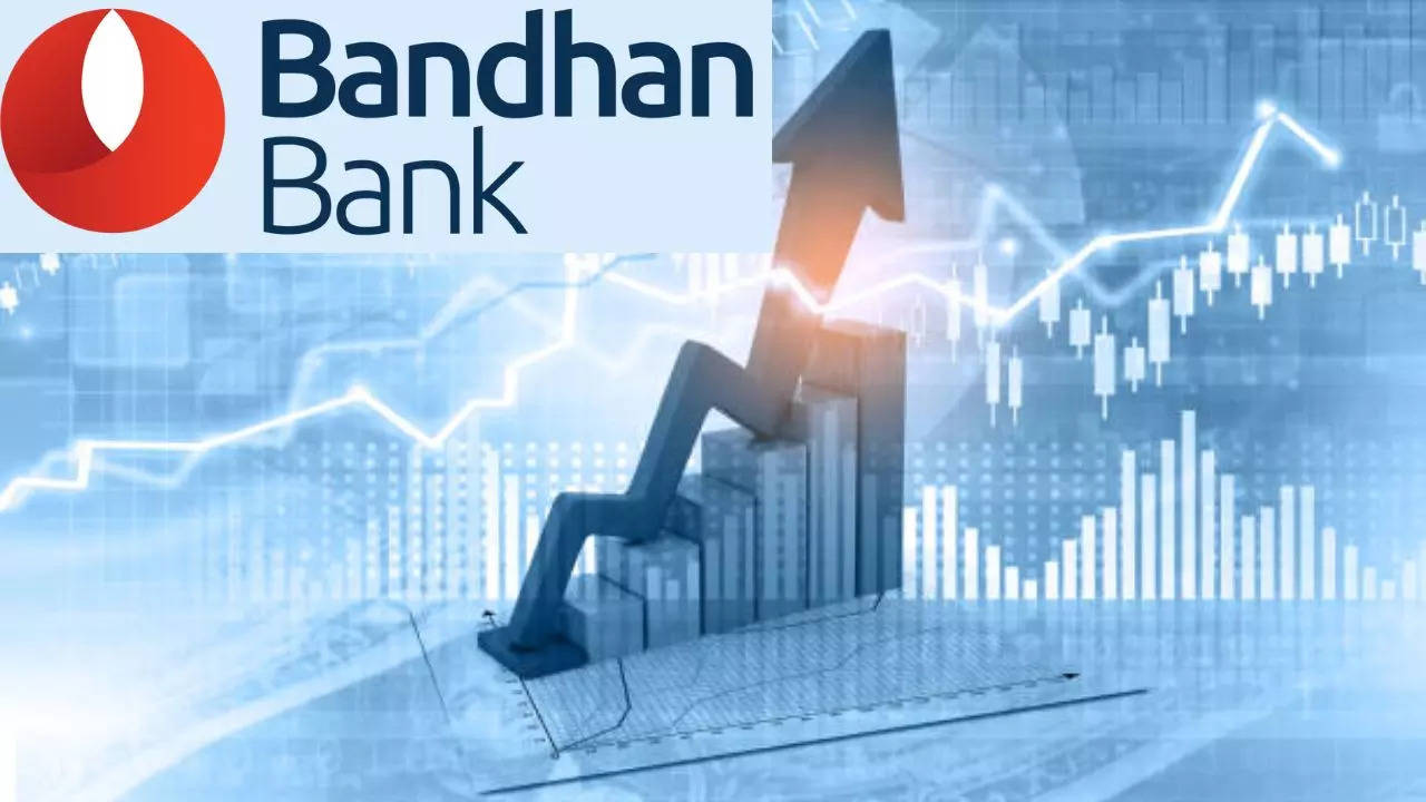 Bandhan Bank Share Price Target