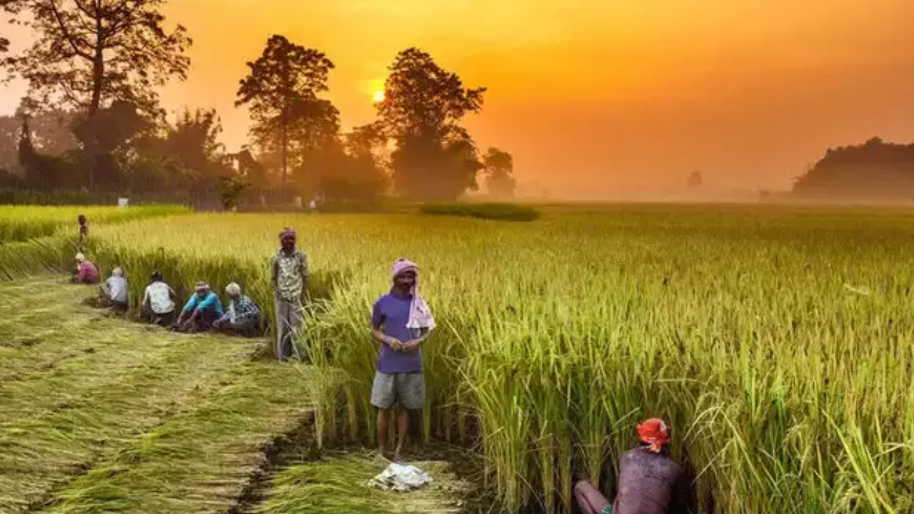 Farm sector: सरकार ने FCI की पूंजी बढ़ाकर 21,000 करोड़ रुपये की, MSP के लिए मिलेगी मदद