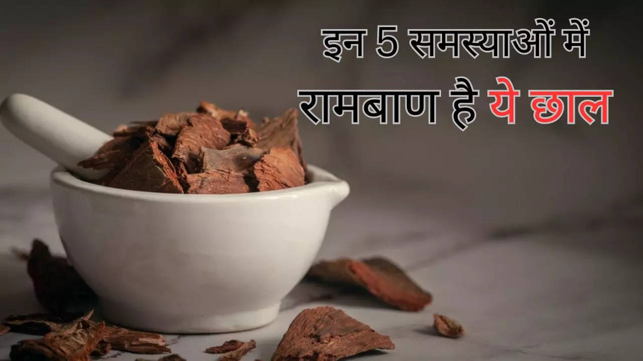 Health Benefits Of Arjuna Bark