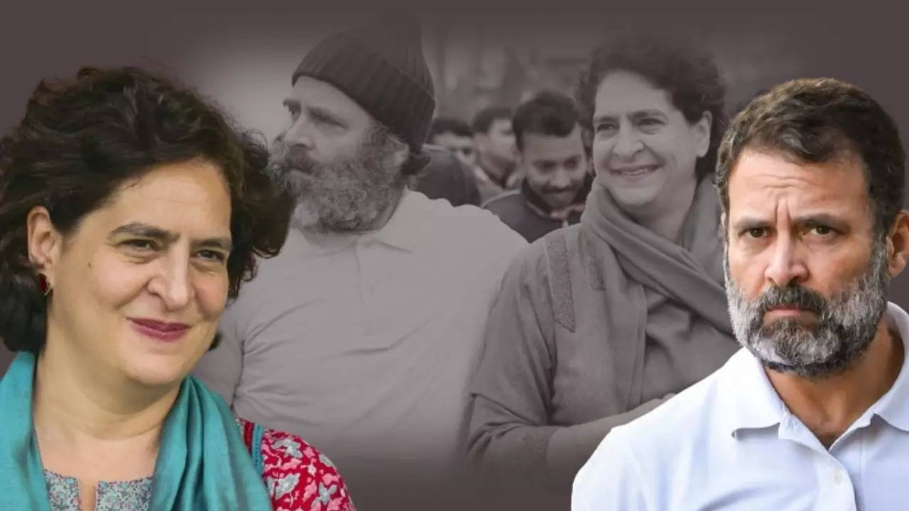 Raul Gandhi Priyanka Gandhi Vadra Amethi Raebareli