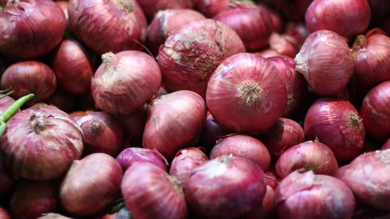 onion prices Export