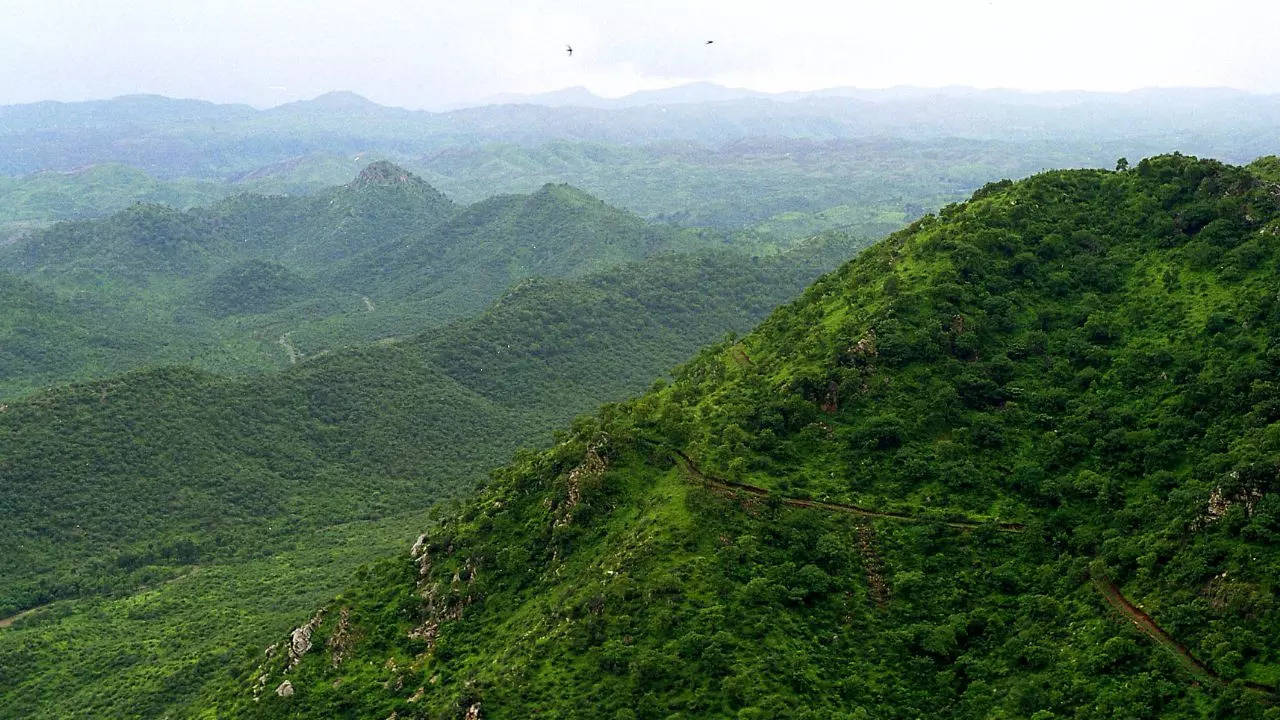 Largest Green Wall in Aravalli