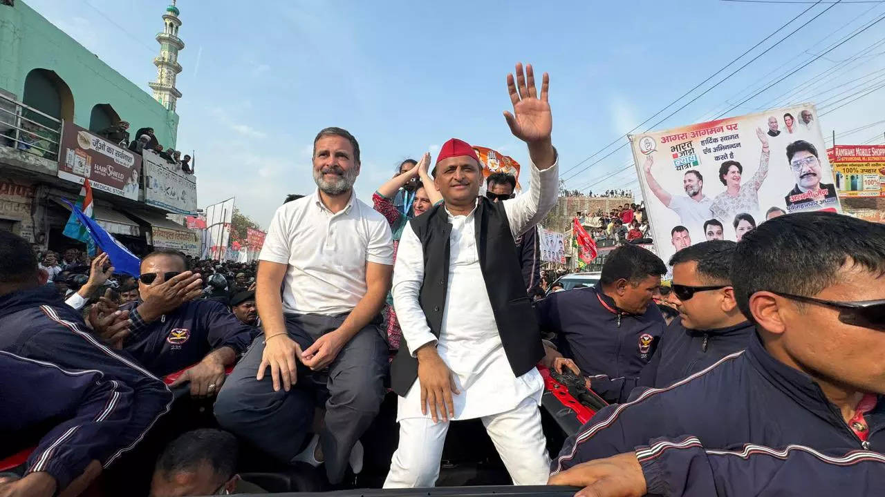 akhilesh yadav rahul gandhi