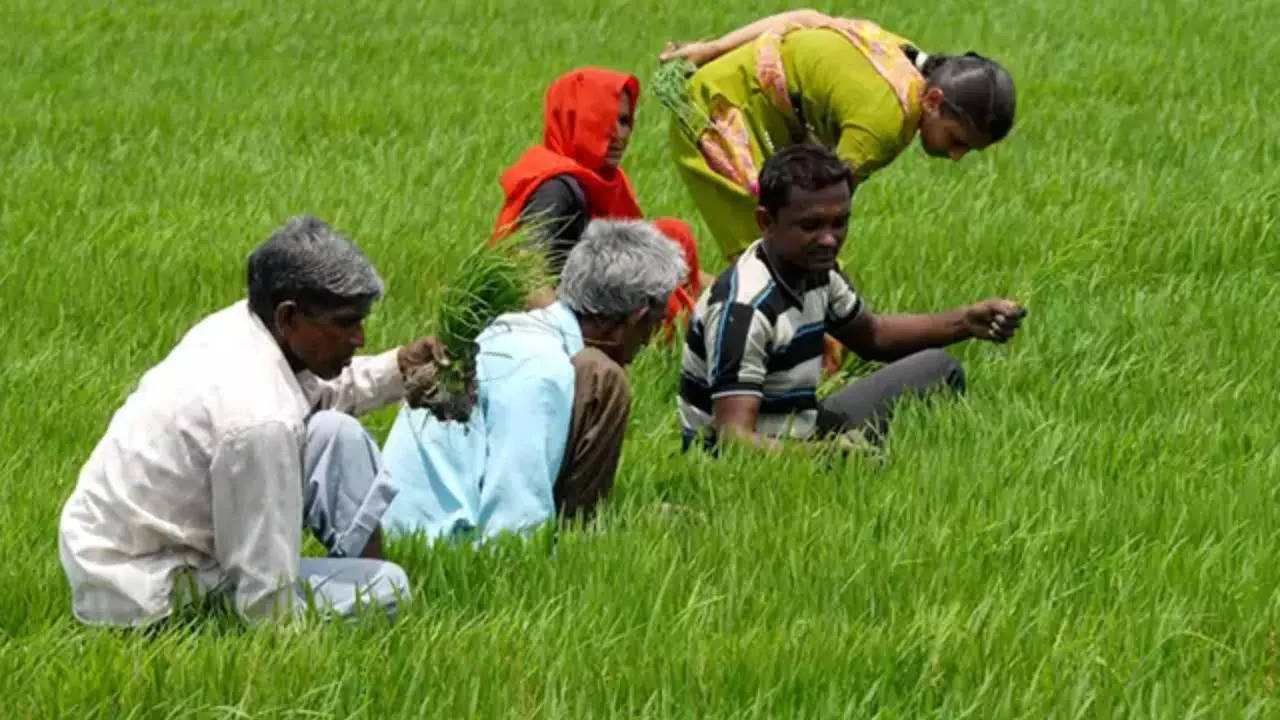 PM Kisan Samman Nidhi Yojana