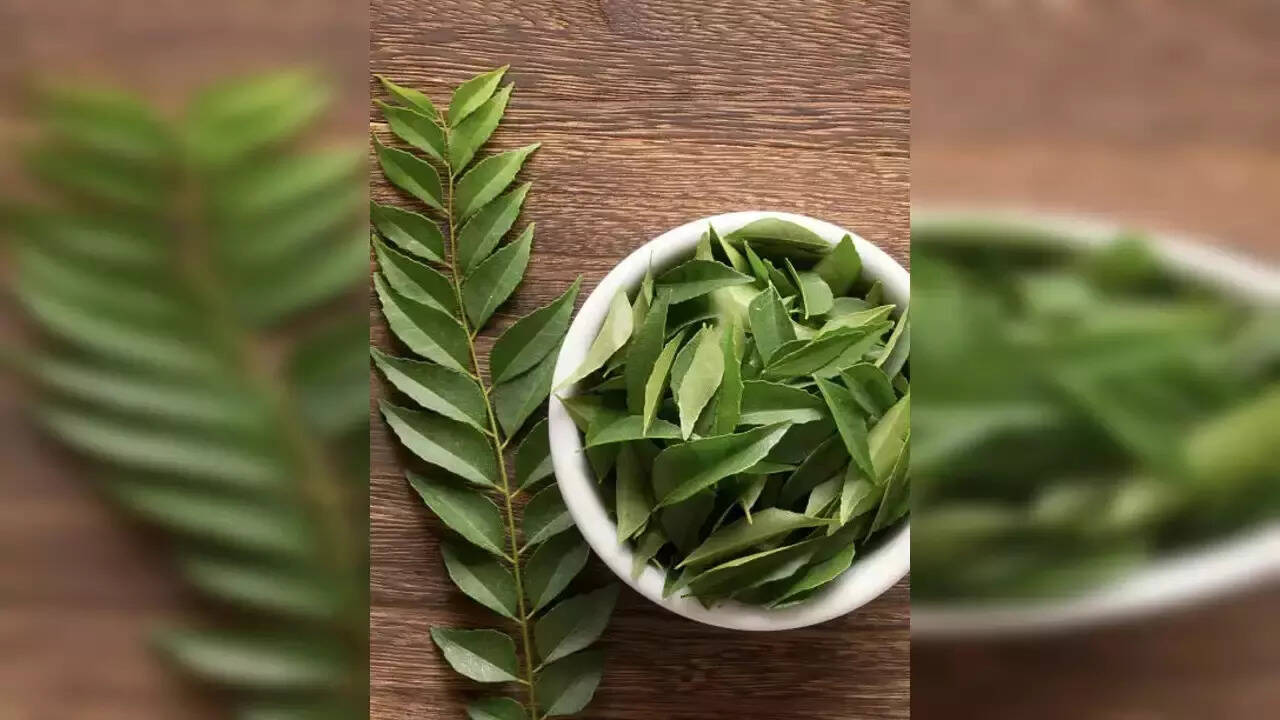 Curry Leaf Plant