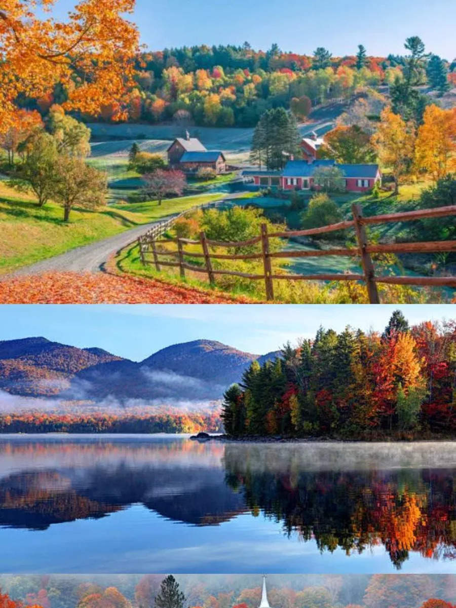 Vermont Remote Worker Grant Program, Vermont Relocation Grant