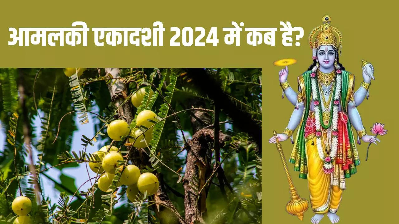 amalaki ekadashi 2024