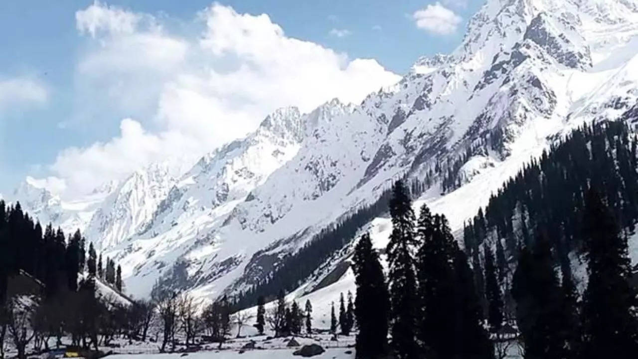 Snowfall in sonmarg