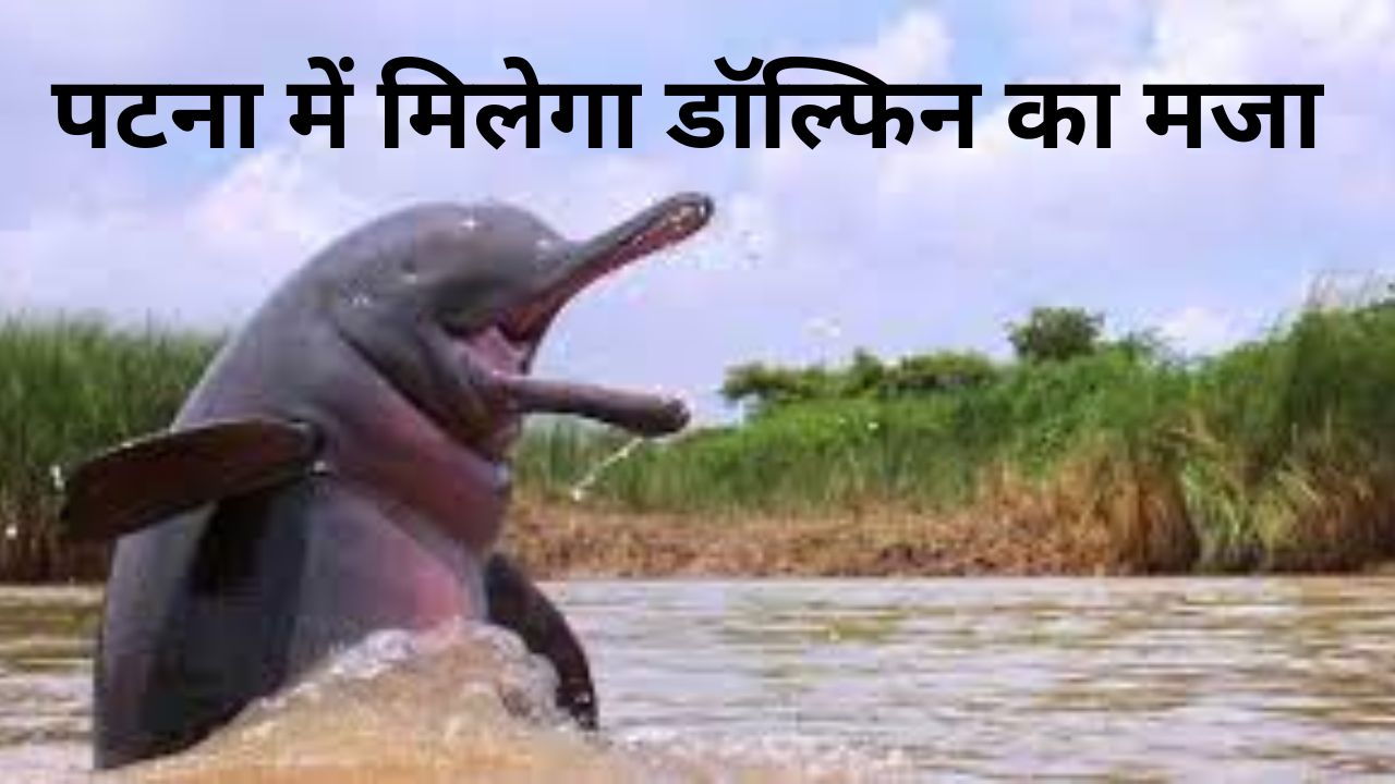 Dolphin Research Center Patna