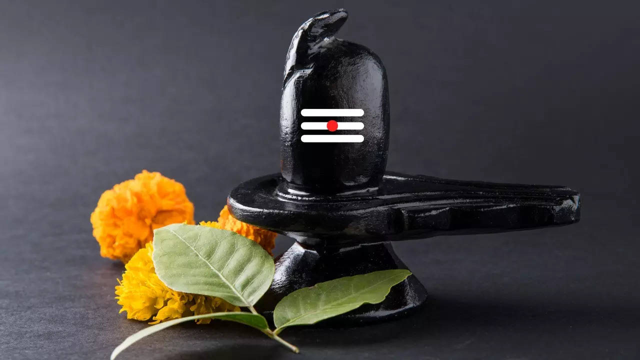 What is Shivlinga