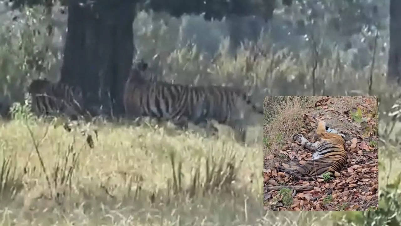 Kanha Tiger Reserve