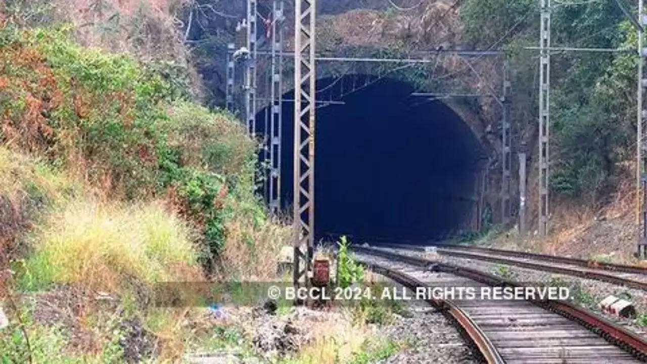 rishikesh karnprayag rail line project