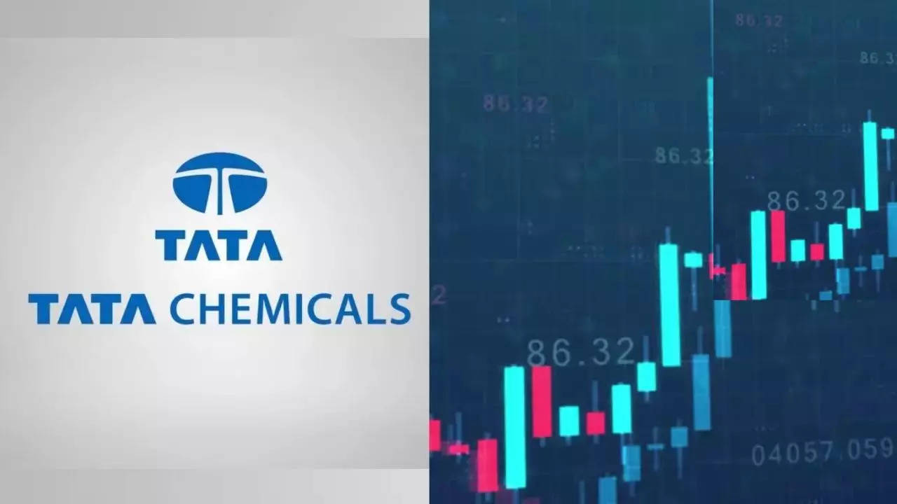 tata chemicals