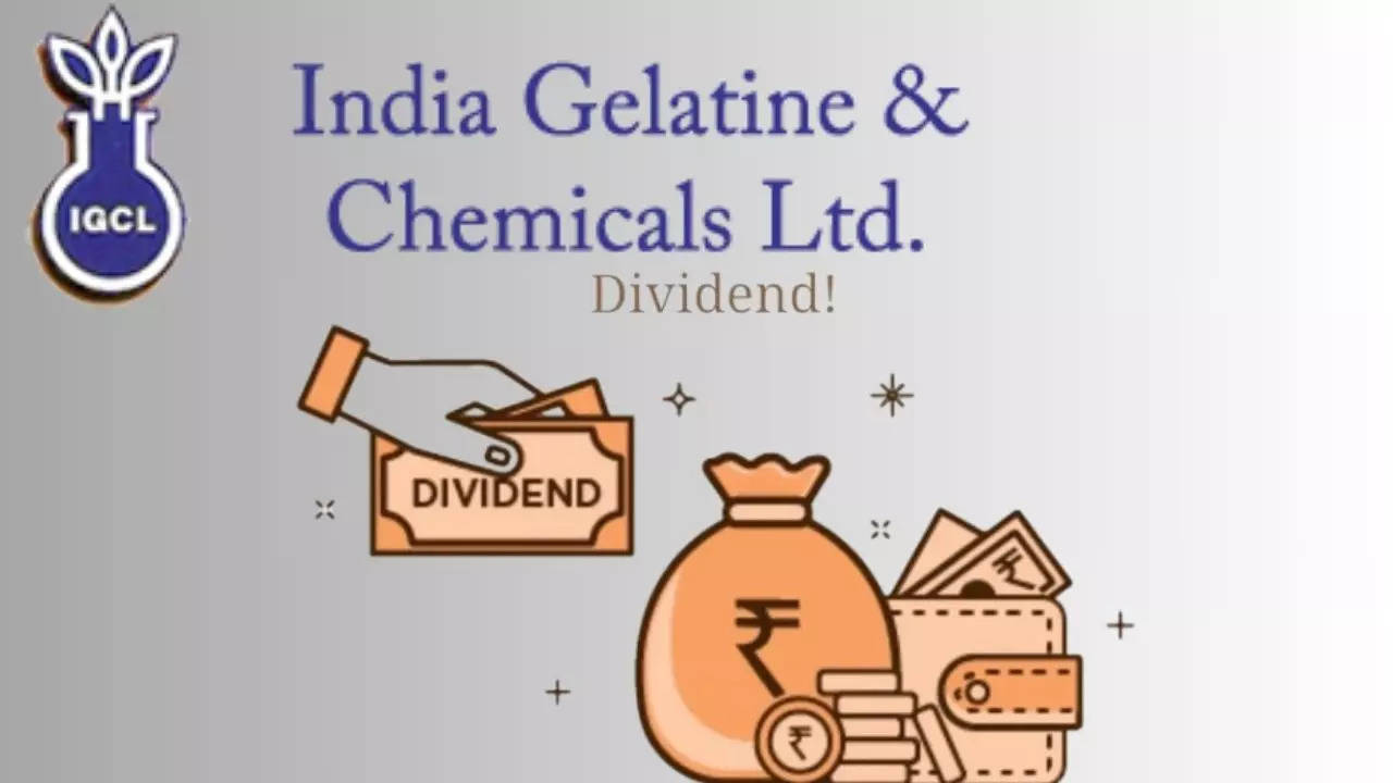 India Gelatine & Chemicals Dividend