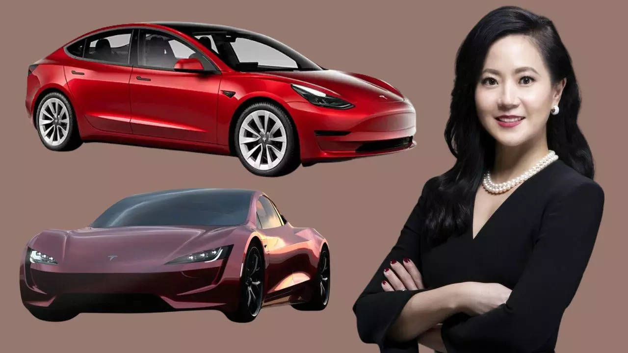 Billionaire Woman Died In Tesla Accident