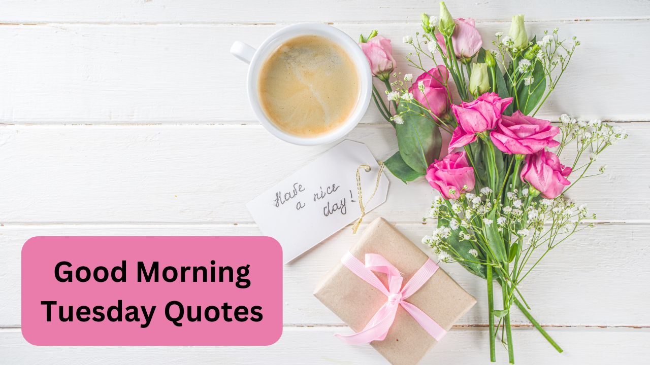 Good morning images, happy tuesday good morning, good morning unique quotes