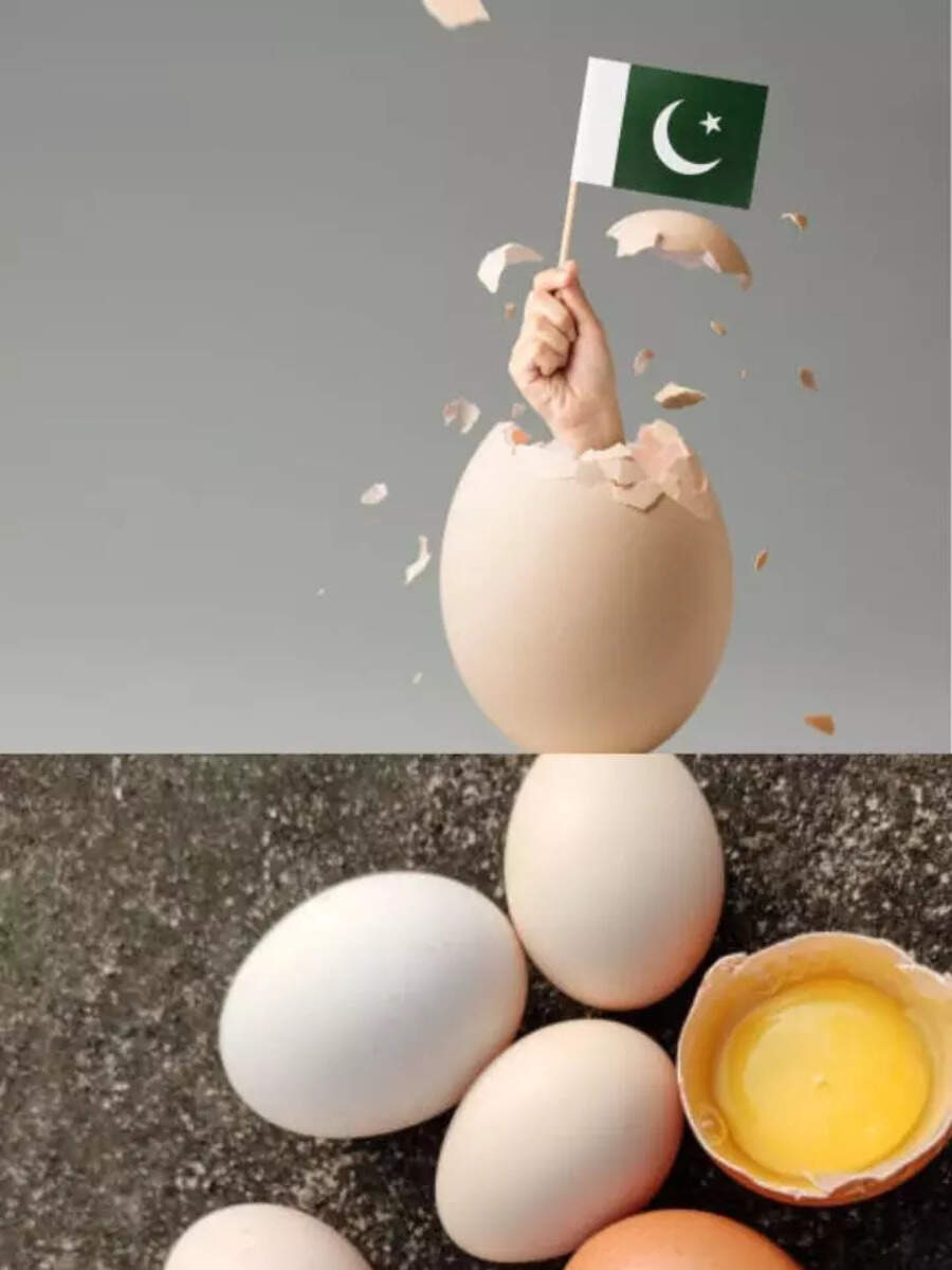 Egg Per Dozen Price In Pakistan, 1 Egg Price In Pakistan, 1 Dozen Eggs