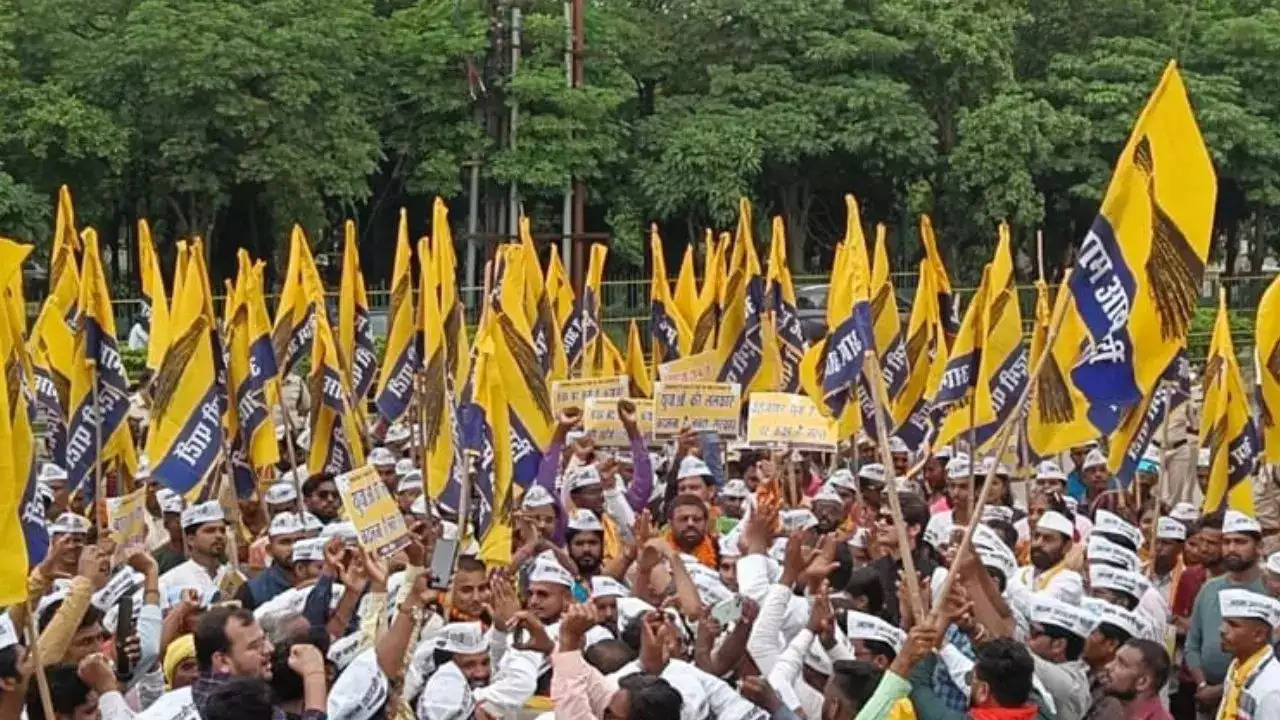 Delhi AAP Protest