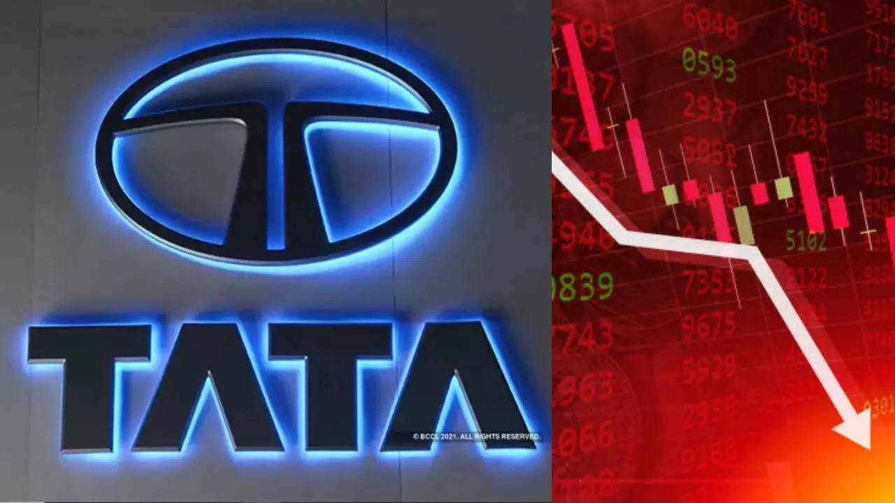 Tata Investment Share