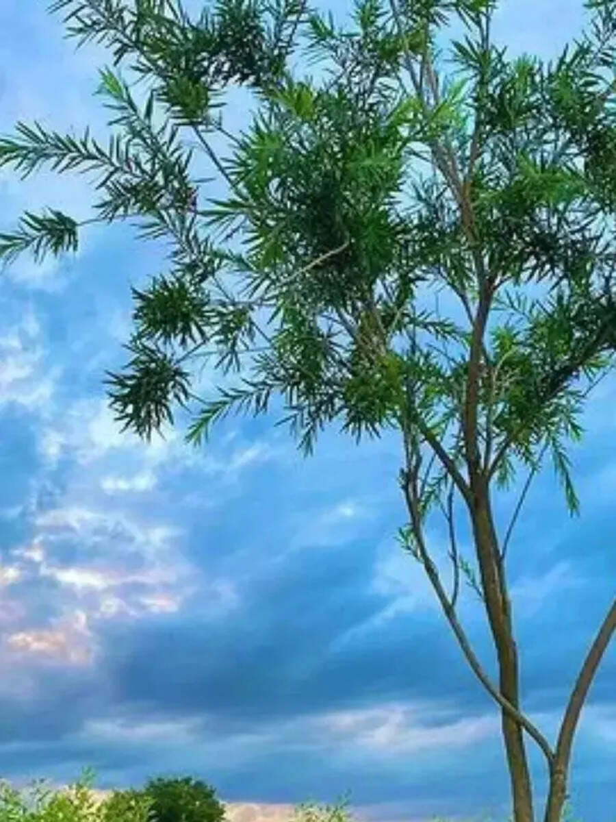 Kumar Vishwas Luxurious House in Hometown Kumar Vishwas Luxurious