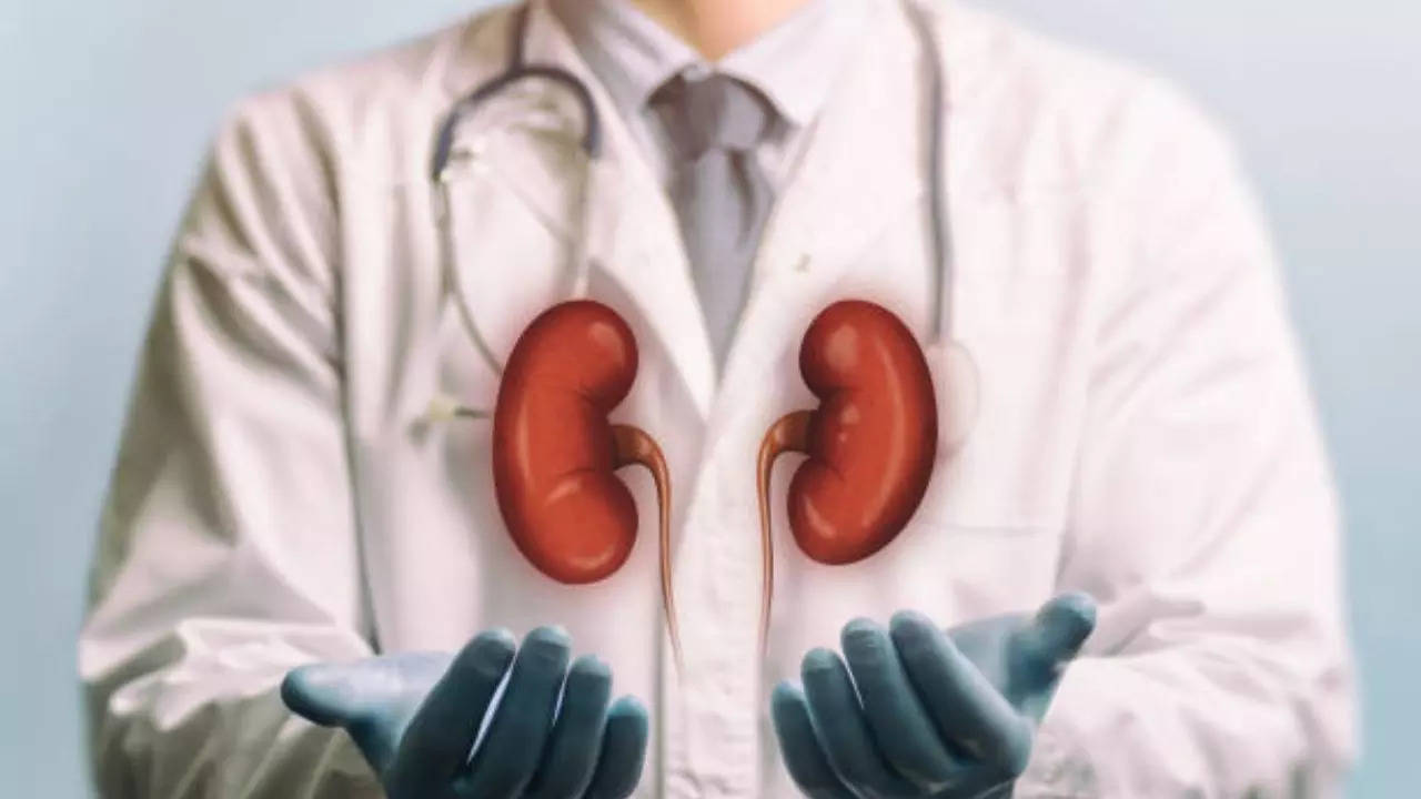 kidney transplant racket