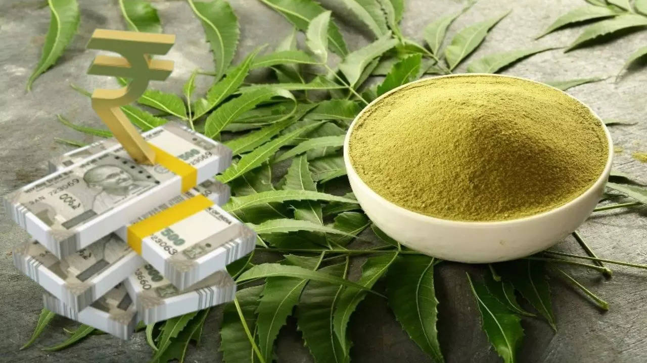 Neem Leaf Powder Business