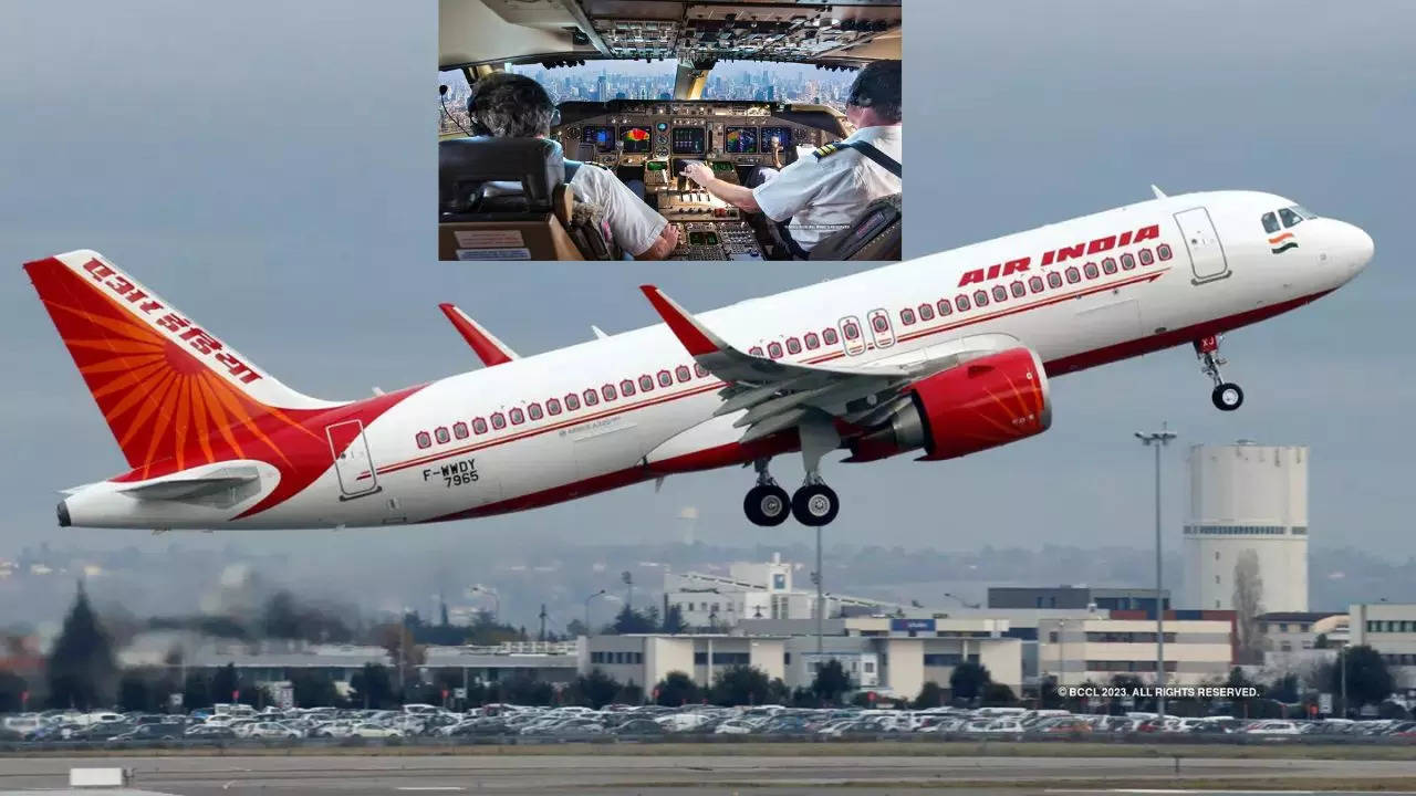 Air India aircraft technicians strike