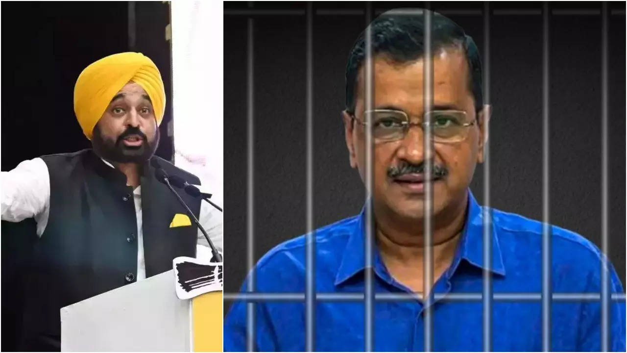 Bhagwant Mann to meet Arvind Kejriwal