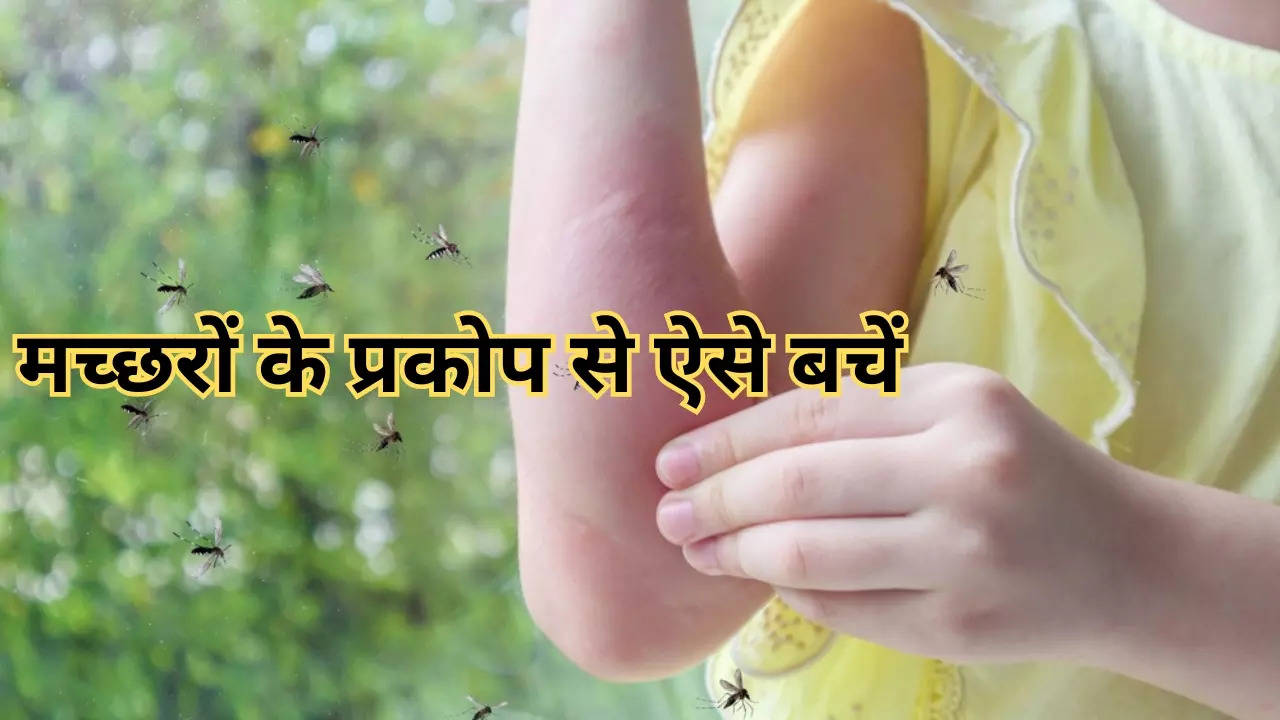 How To Prevent Mosquito borne Disease