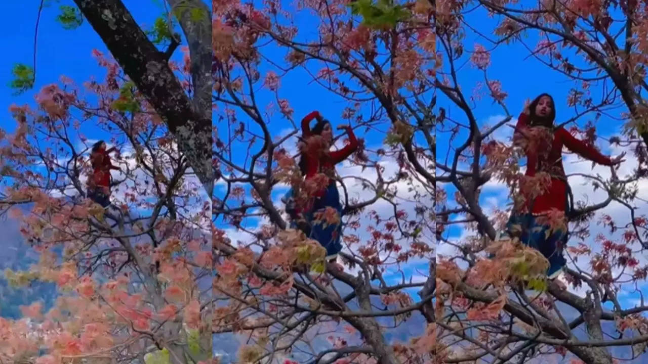 Tree Climbing Dance Video