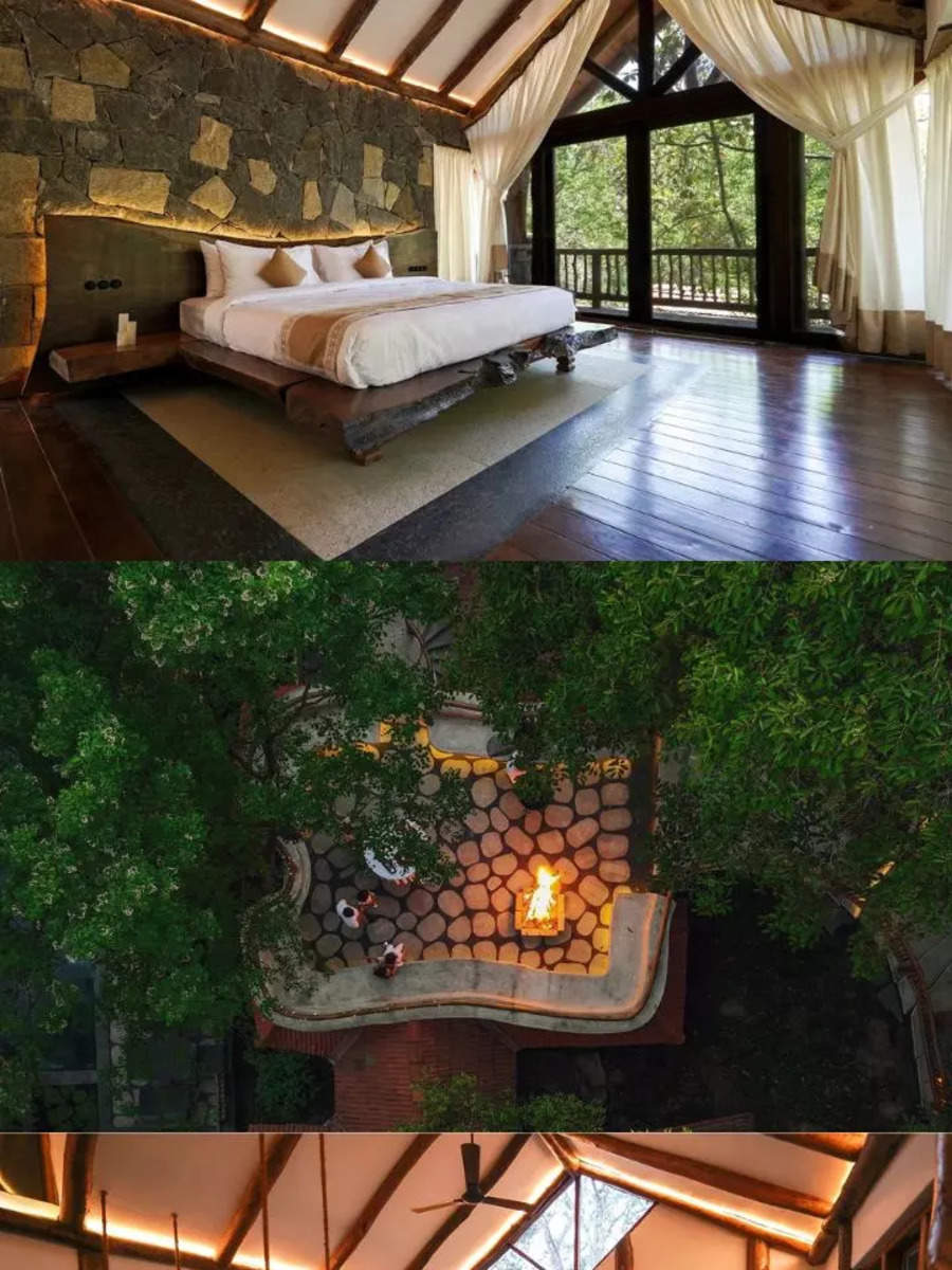 tree-house-cost-in-india-romantic-tree-house-in-india-best-tree-house