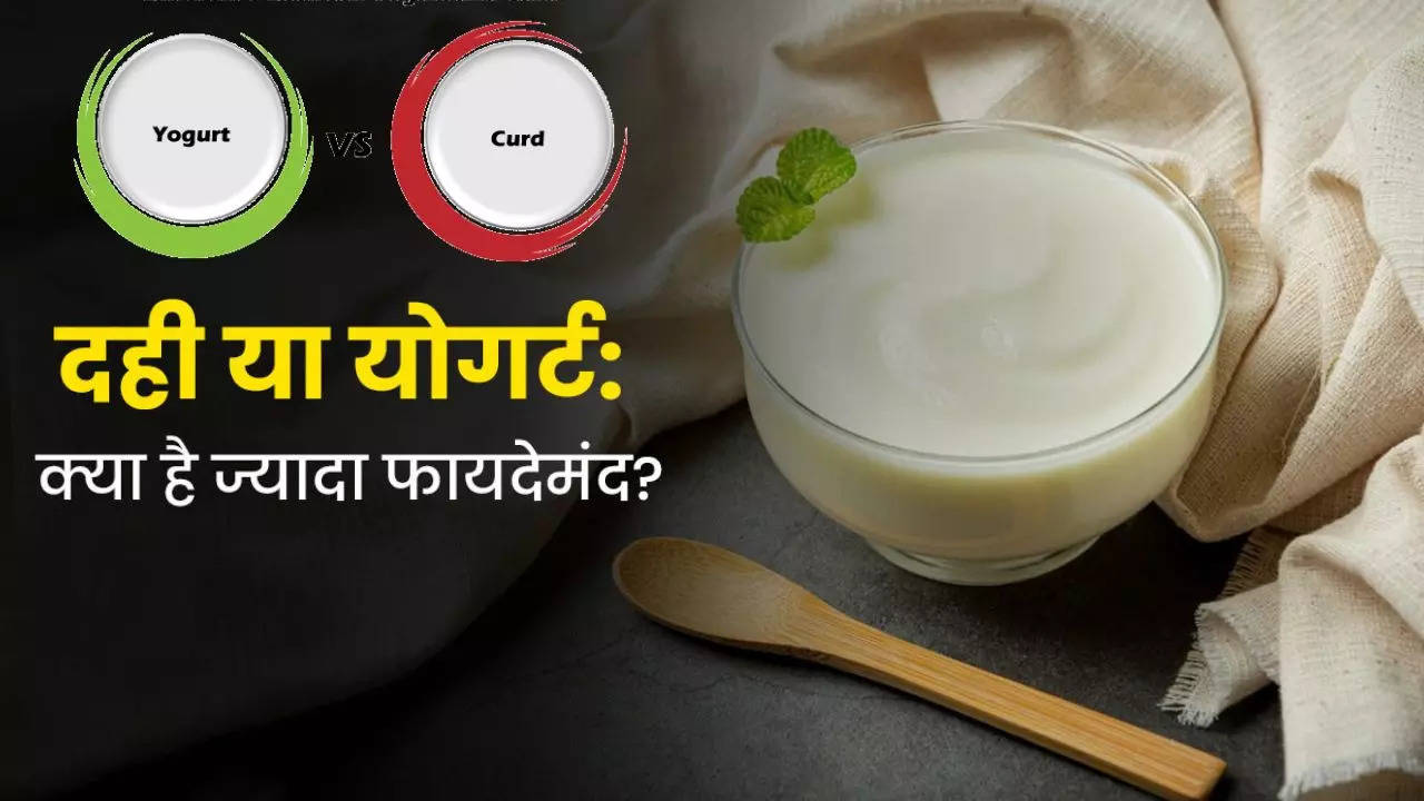 Curd Vs Yogurt