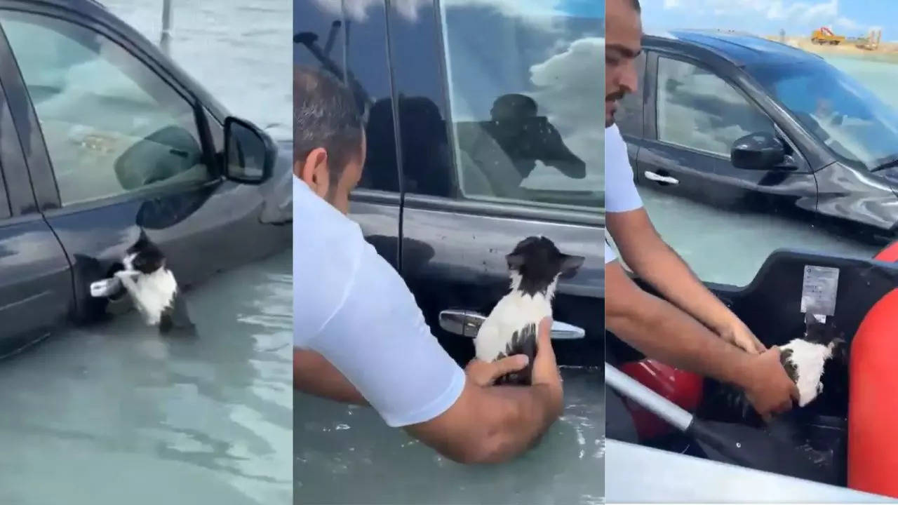 Dubai Flood Viral Video