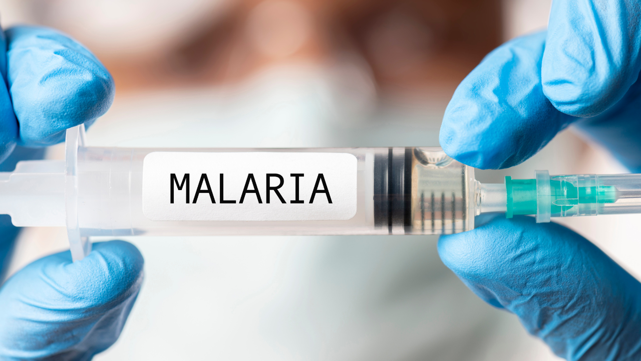 World Malaria day 2024, causes of malaria, malaria symptoms