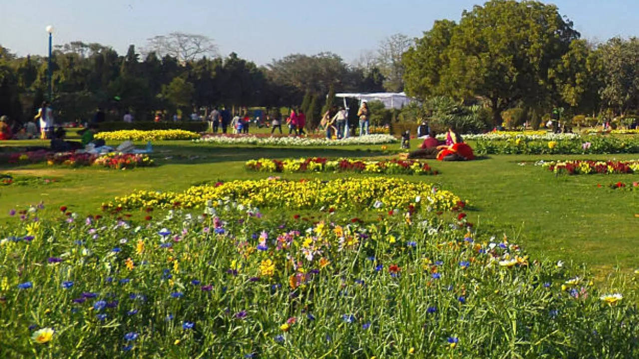 kalindi park