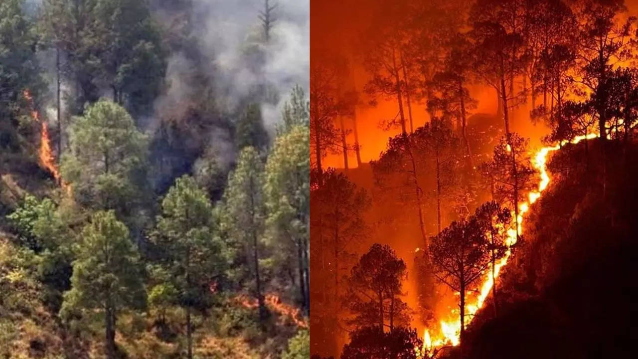 Nainital Forest Fire